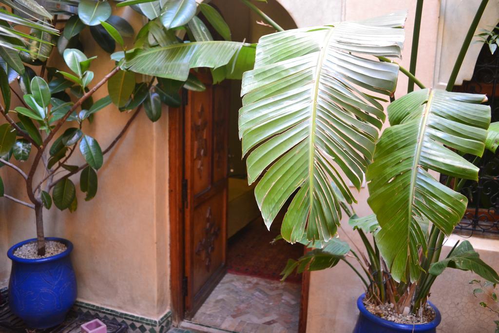 Riad Hotel Belleville Marrakech Марракеш Екстер'єр фото
